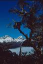 Spectacular views from the ridge hike that was day 3 of the Routeburn Track.